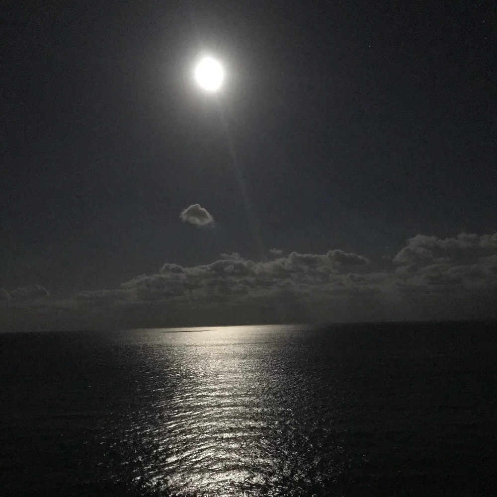 Meet your Posher, Zenzele